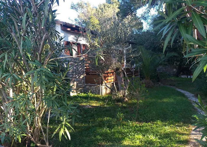 House Jasmina